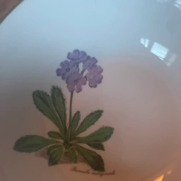 Seltmann Weiden Diverse porcelæn med blomster