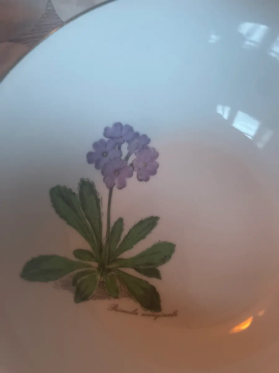 Seltmann Weiden Diverse porcelæn med blomster