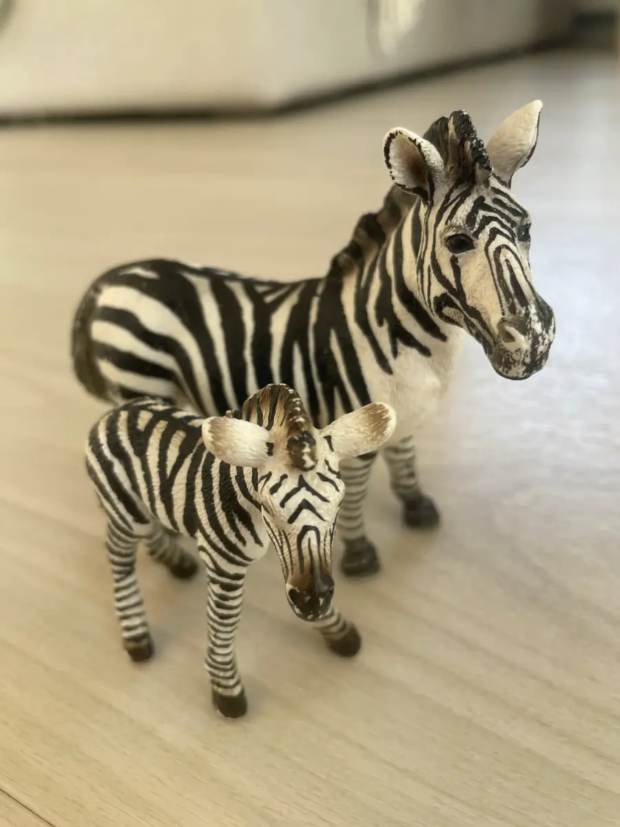 Schleich Zebra og zebra føl
