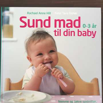 Sund mad til din baby Bog