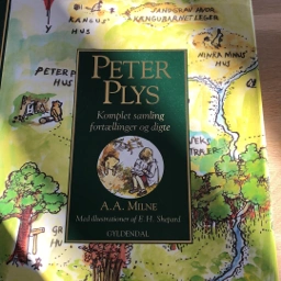 Peter Plys Bog