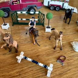 Schleich Horse club