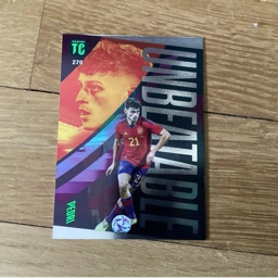 Panini Fodbold kort