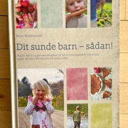 Dit sunde barn -sådan! Bog