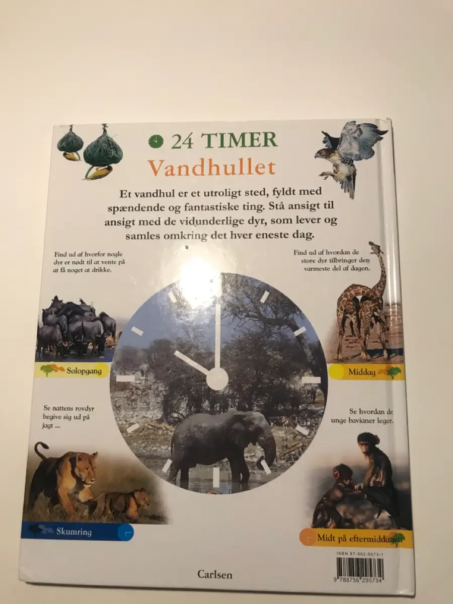 24 timer ved vandhullet Bog