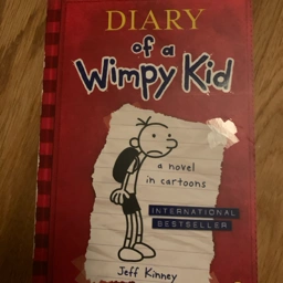 Wimpy kid Bog