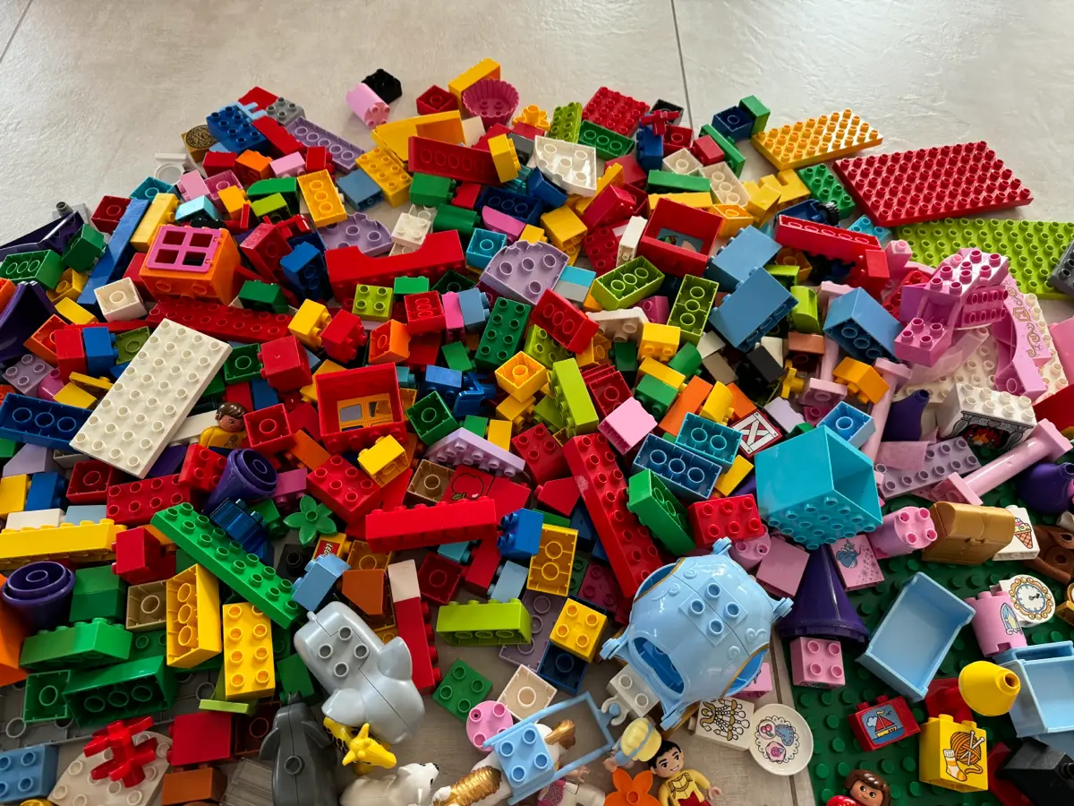 DUPLO Blandet Lego Askepot zoo mm