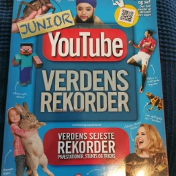 youtube verdens rekorder Junior Bog