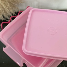 Tupperware Snack boks