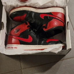 Nike Air Jordans sneakers