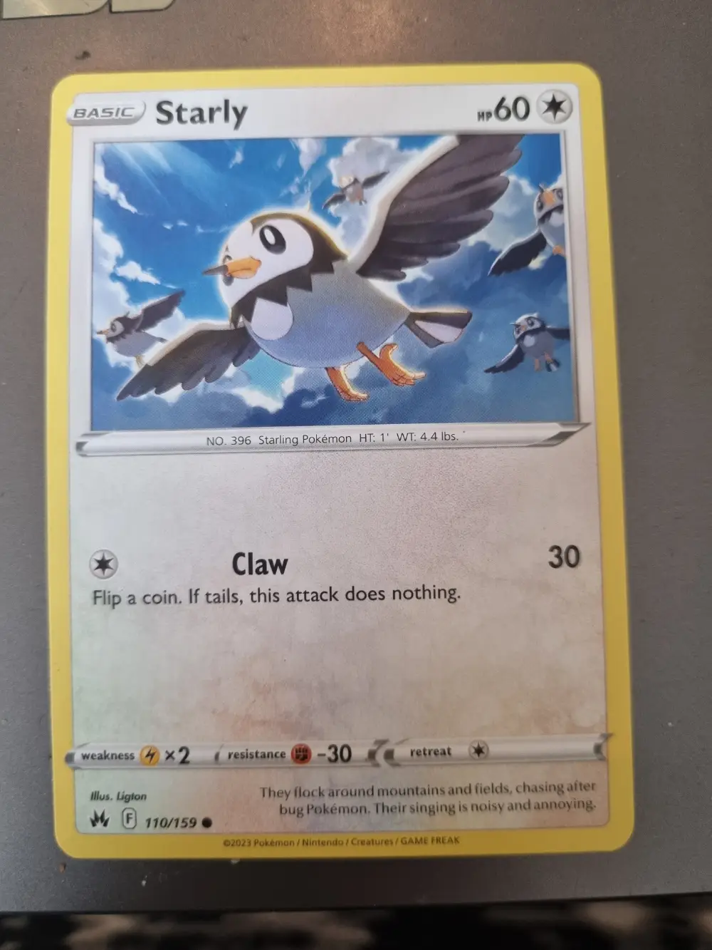 Pokémon Starly