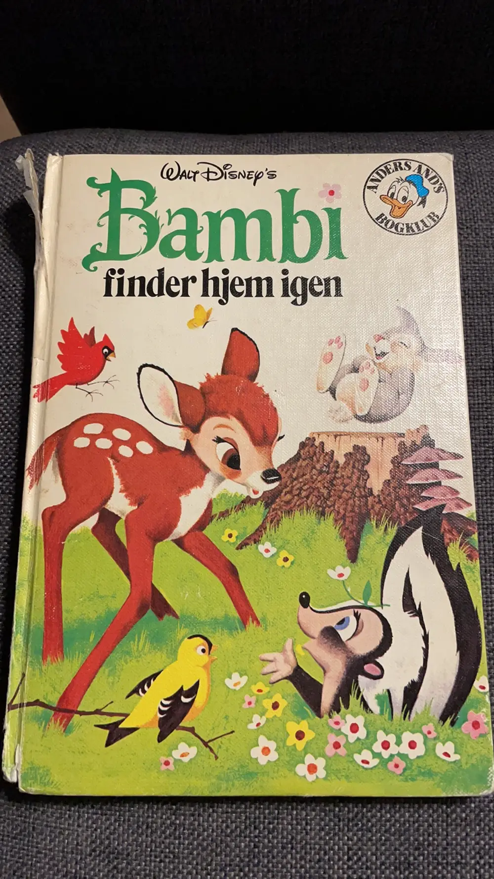 Bambi finder hjem igen Bog