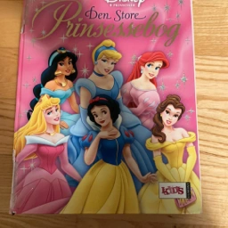 Den store prinsessebog Disney bog