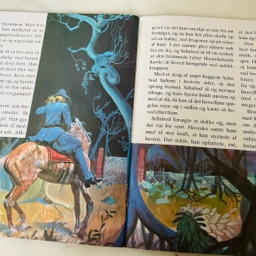 Den hovedløse dragon Bog bøger
