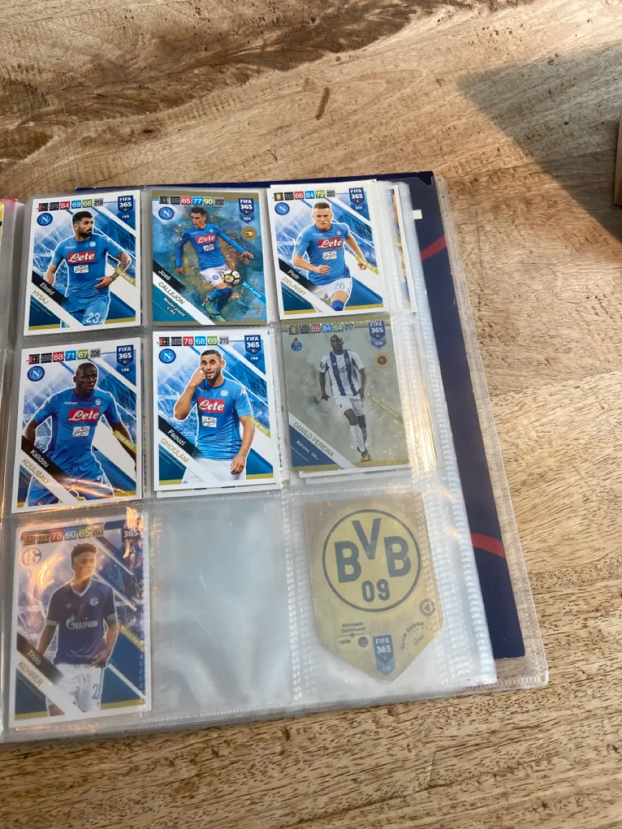 PANINI FIFA 365 ADRNALYN En fodboldkortmappe