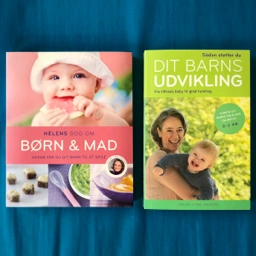 Dit barns udvikling børn  mad Babymad håndbog helen Gambor