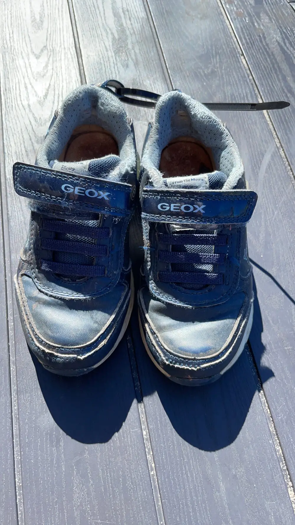 Geox Blink Sneakers