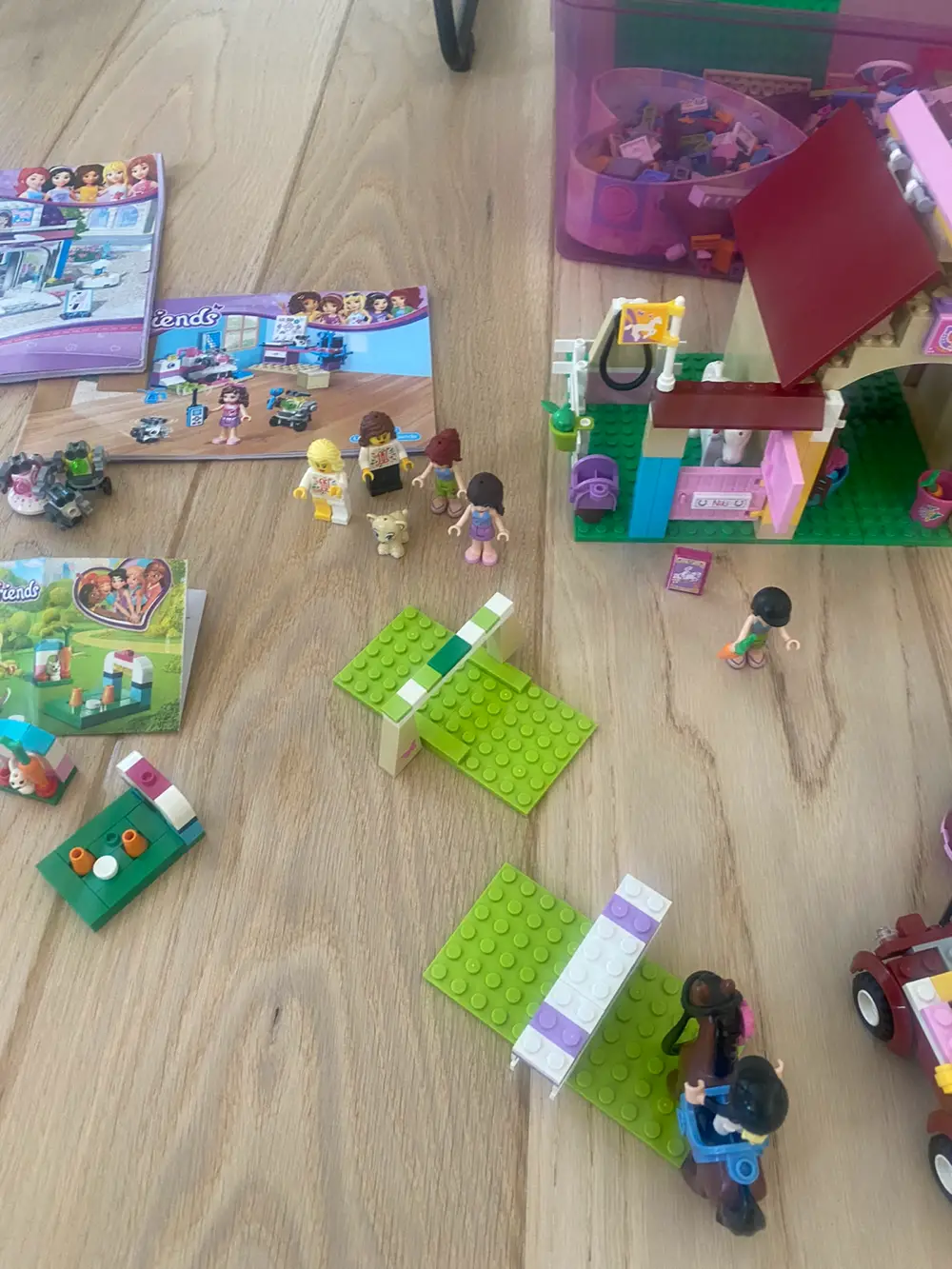 LEGO Friends Diverse Lego