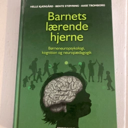 Barnets lærende hjerne Bog