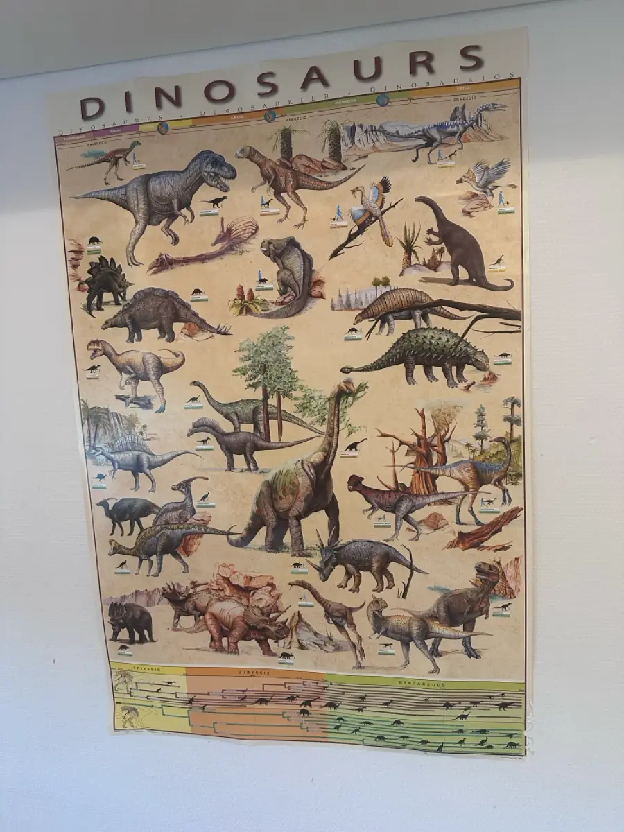 Ukendt Dino plakat