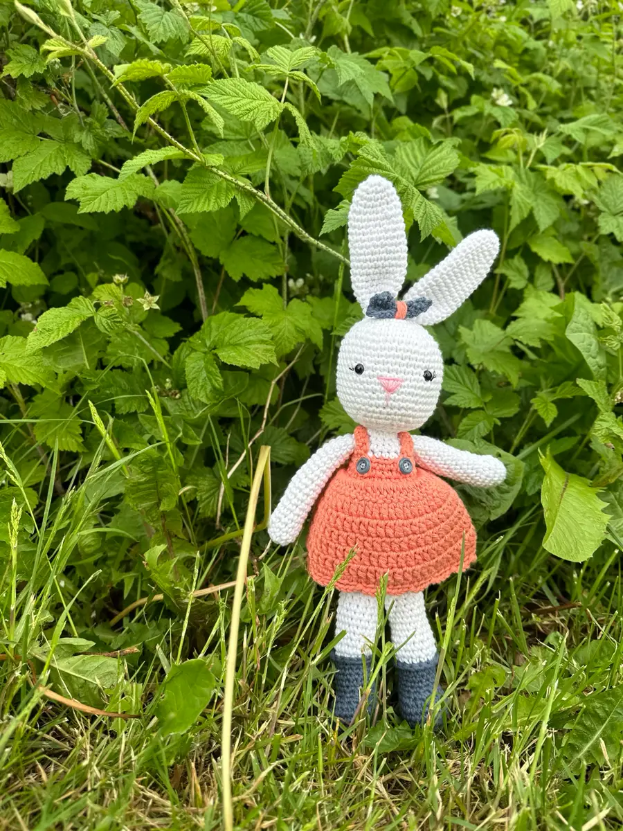 Unknown Amigurumi Rabit