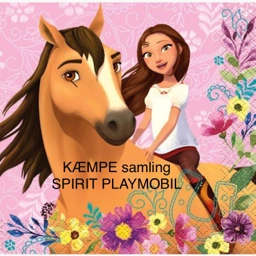 Playmobil Spirit