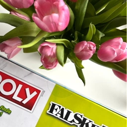 Hasbro Monopoly - falske penge