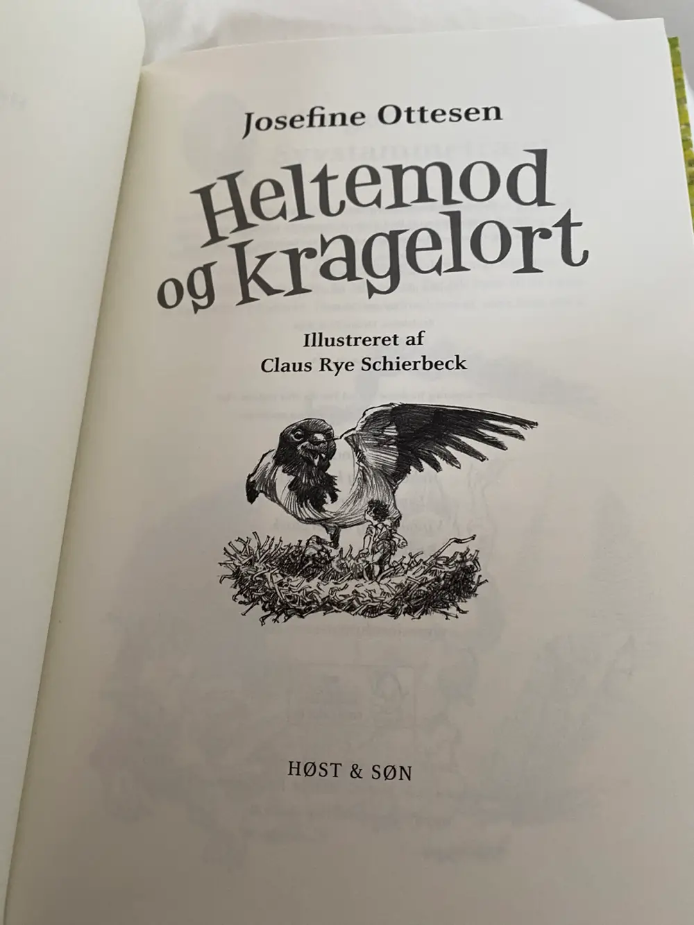 Heltemod og kragerlort Bog