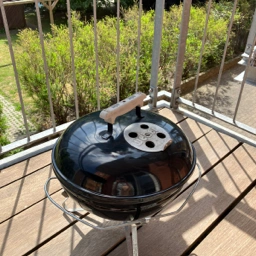 Weber Picnic grill