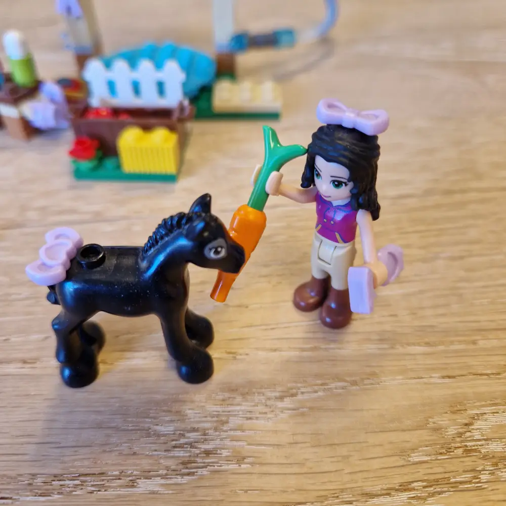 LEGO Friends Vaskeplads til føllet nr 41123