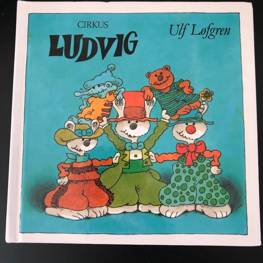 Cirkus Ludvig Børnebog let læs bog