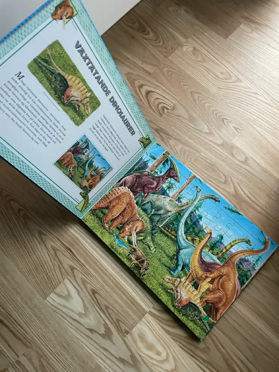 Ukendt Dinosaurus Puslespil