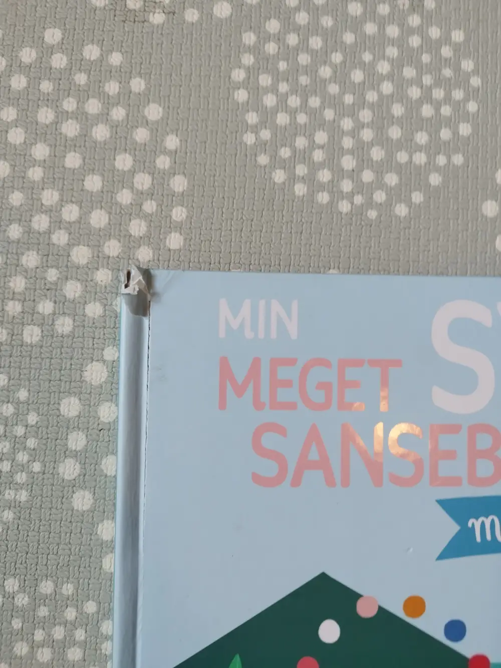 Min meget store sansebog Sansebog