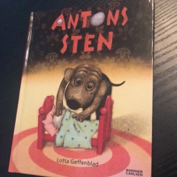 Antons sten Bog