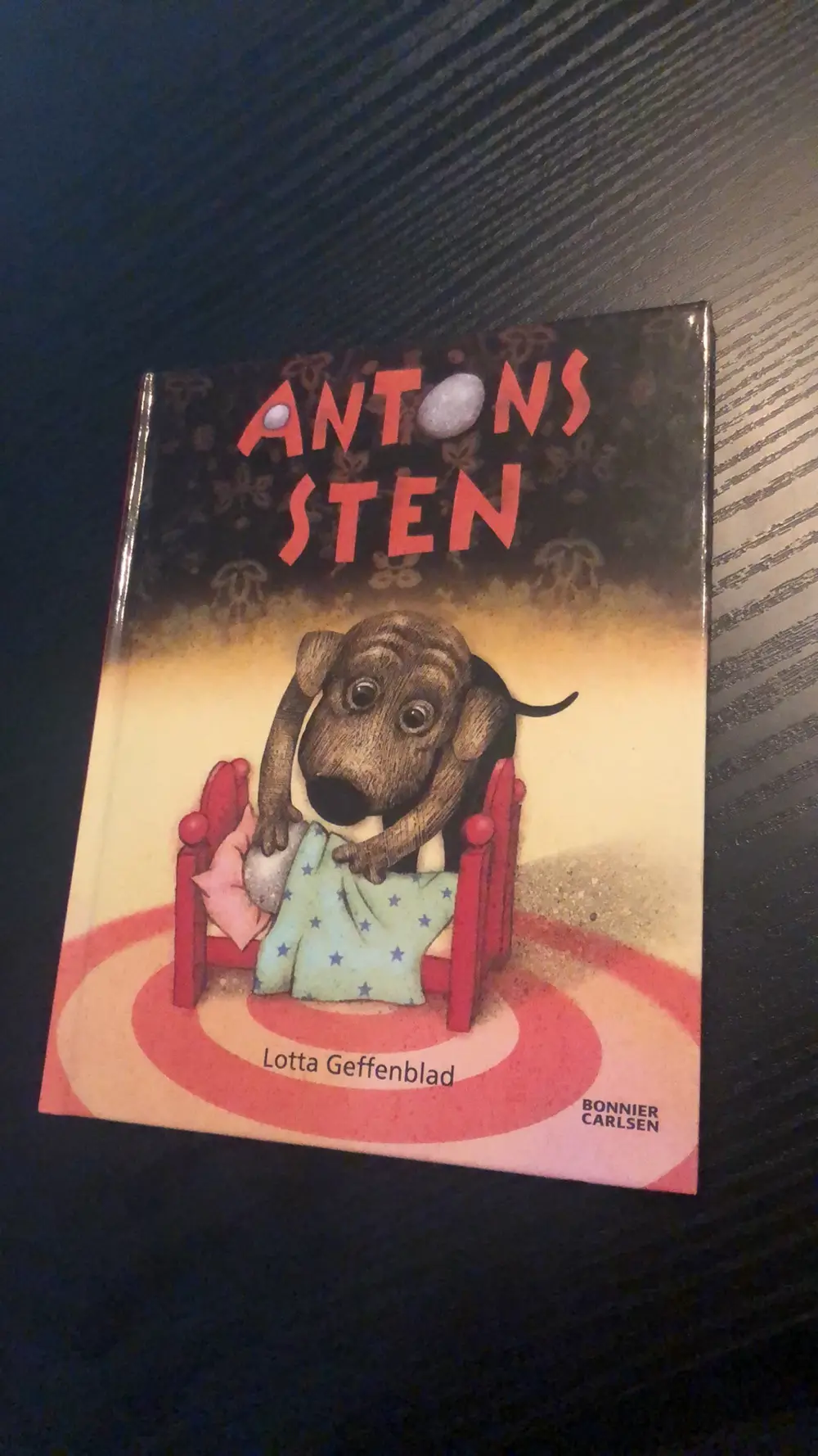 Antons sten Bog