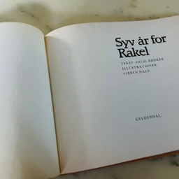 Syv år for Rakel Bog bøger