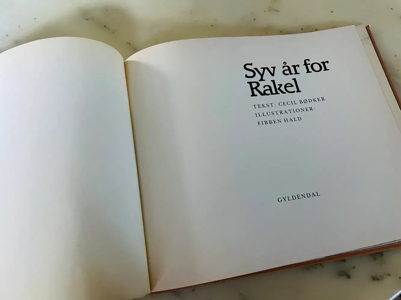 Syv år for Rakel Bog bøger