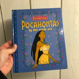 Pocahontas Pocahontas bog