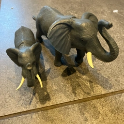 Ukendt Elefanter