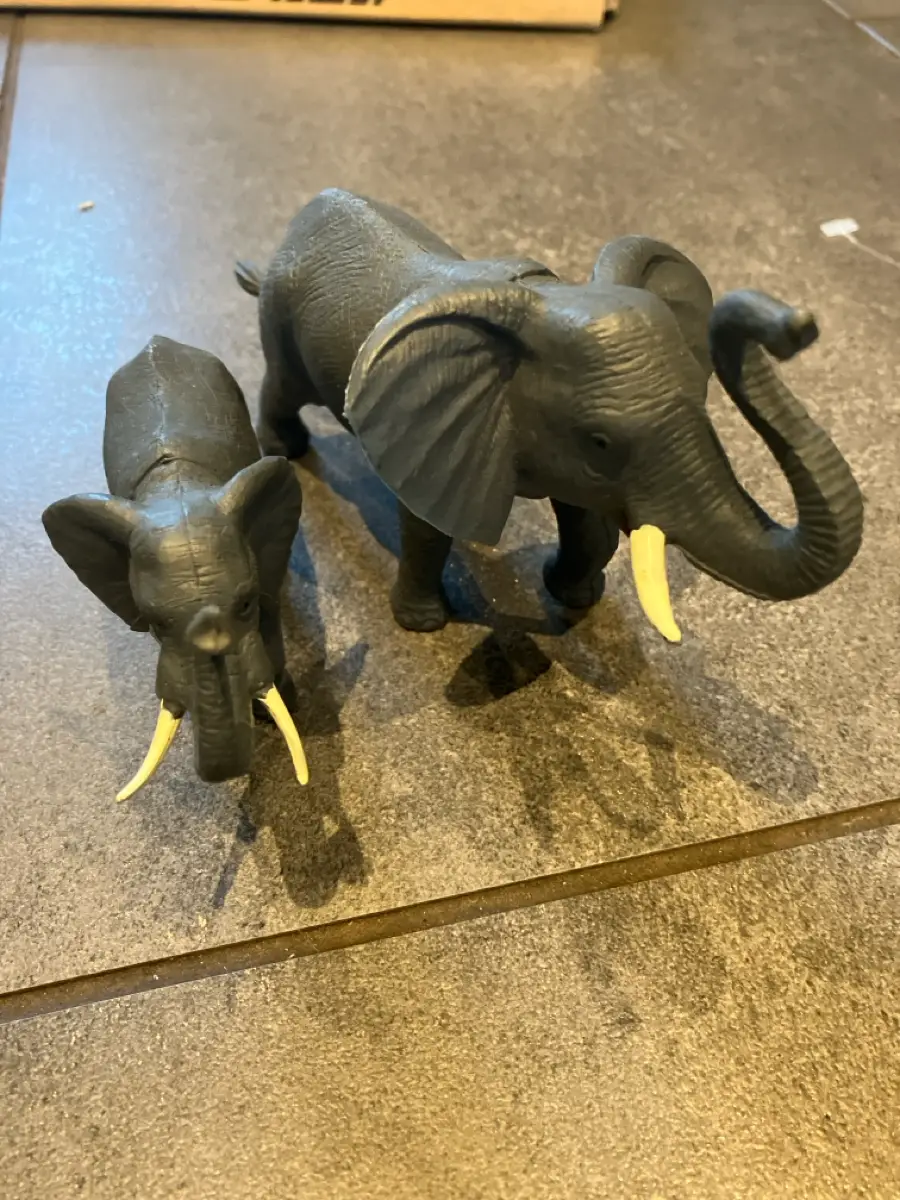 Ukendt Elefanter