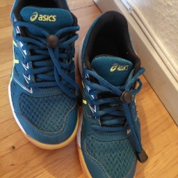 ASICS Indendørs sko