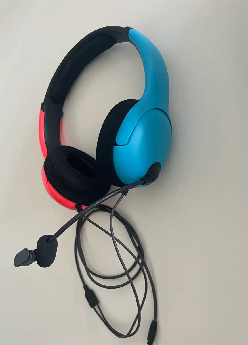 Nintendo Headset