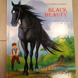 Black beauty Bog