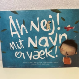 Navnebog special lavet til Navnet VILLADS