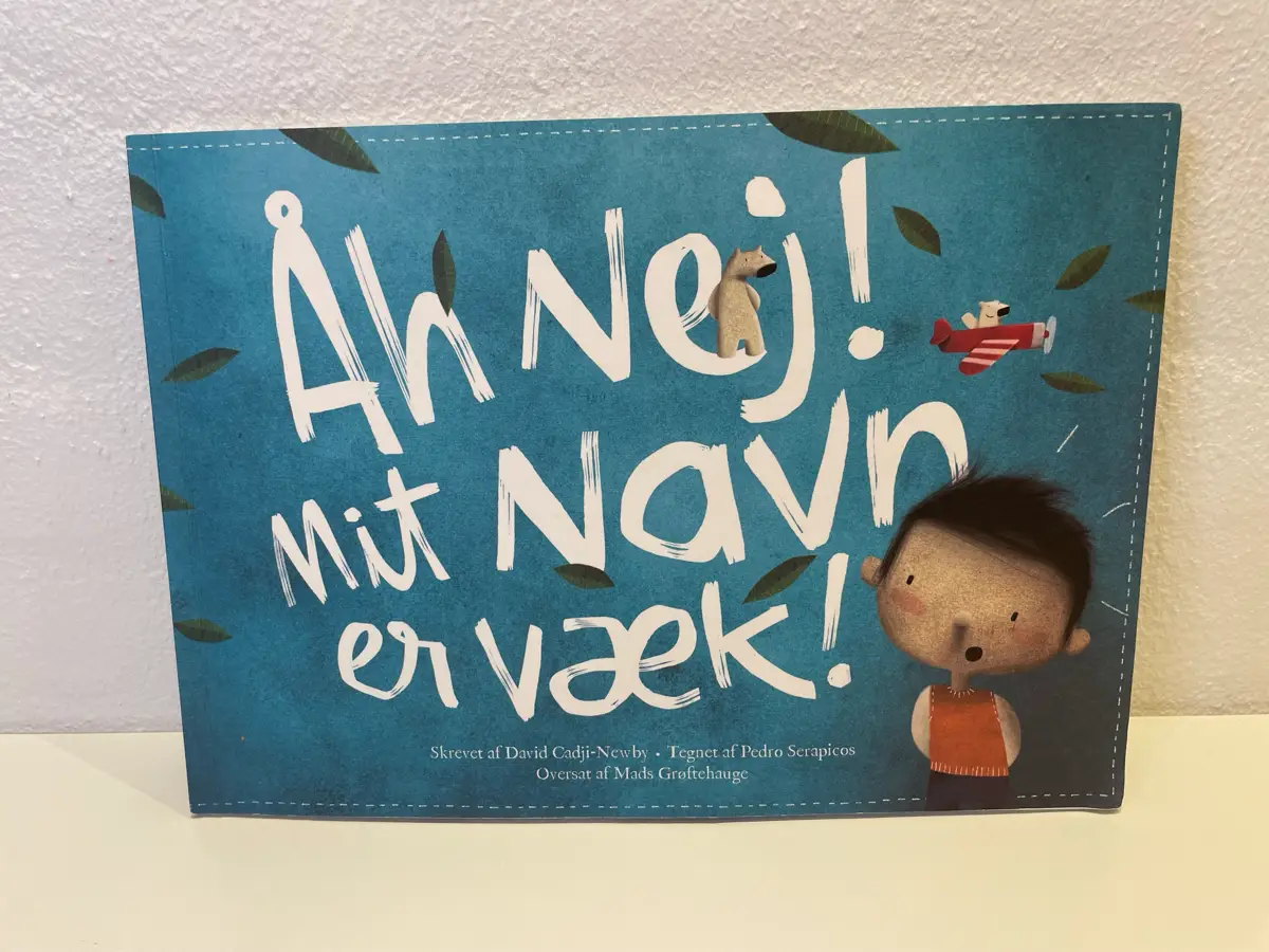 Navnebog special lavet til Navnet VILLADS