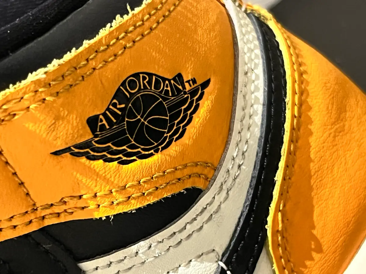 Nike Nike Air Jordan støvler