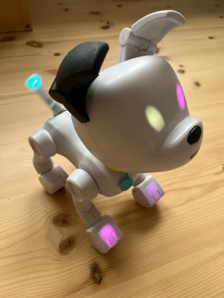 Dog-E Robot hund