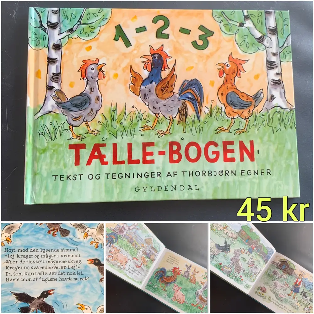 1 - 2 - 3 Tælle-bogen Bog