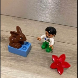 LEGO Dyrlæge og kanin