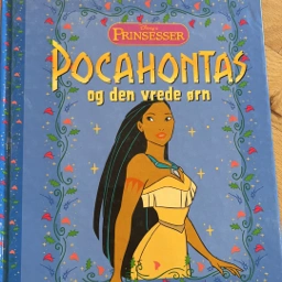 Pocahontas og den vrede ørn Bog